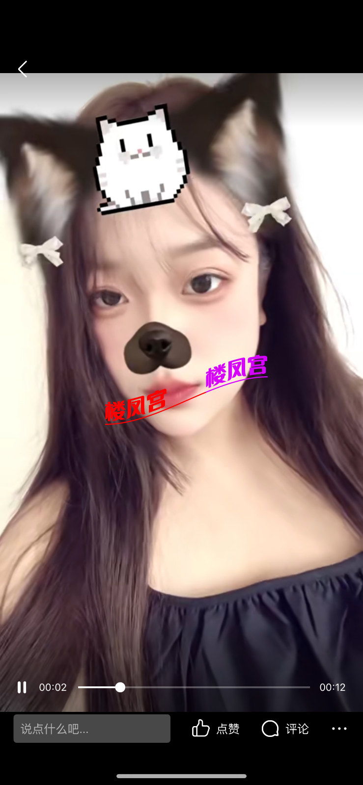 IMG_1984.png