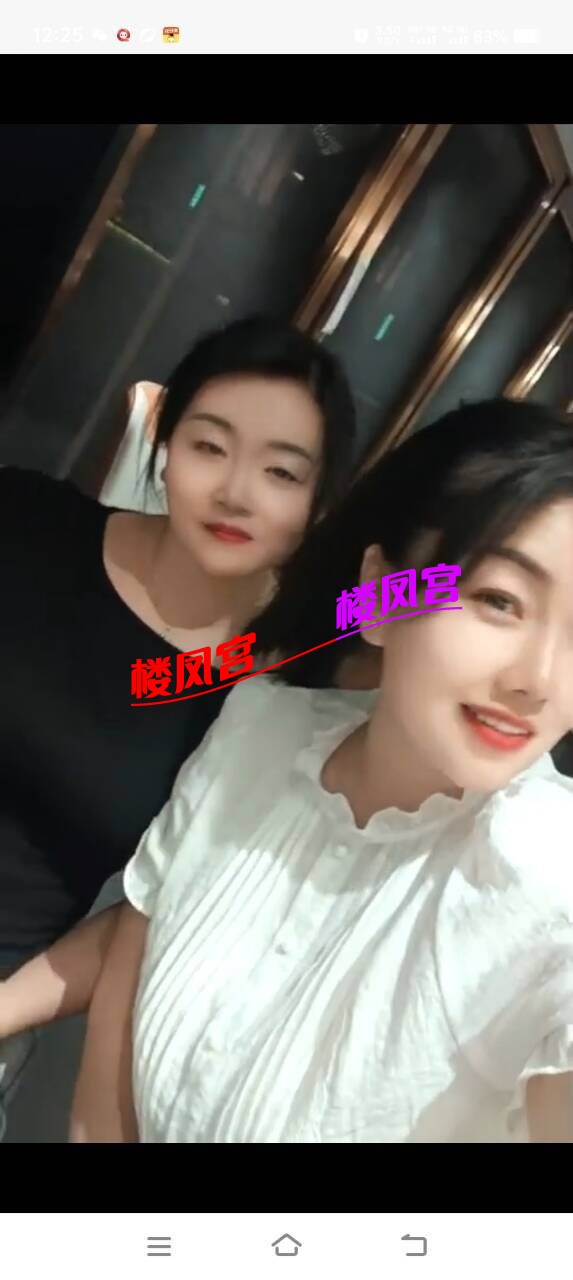 8498.jpg