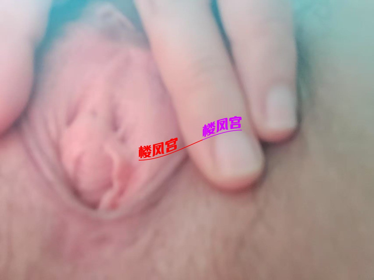 mmexport1758623427292.jpg