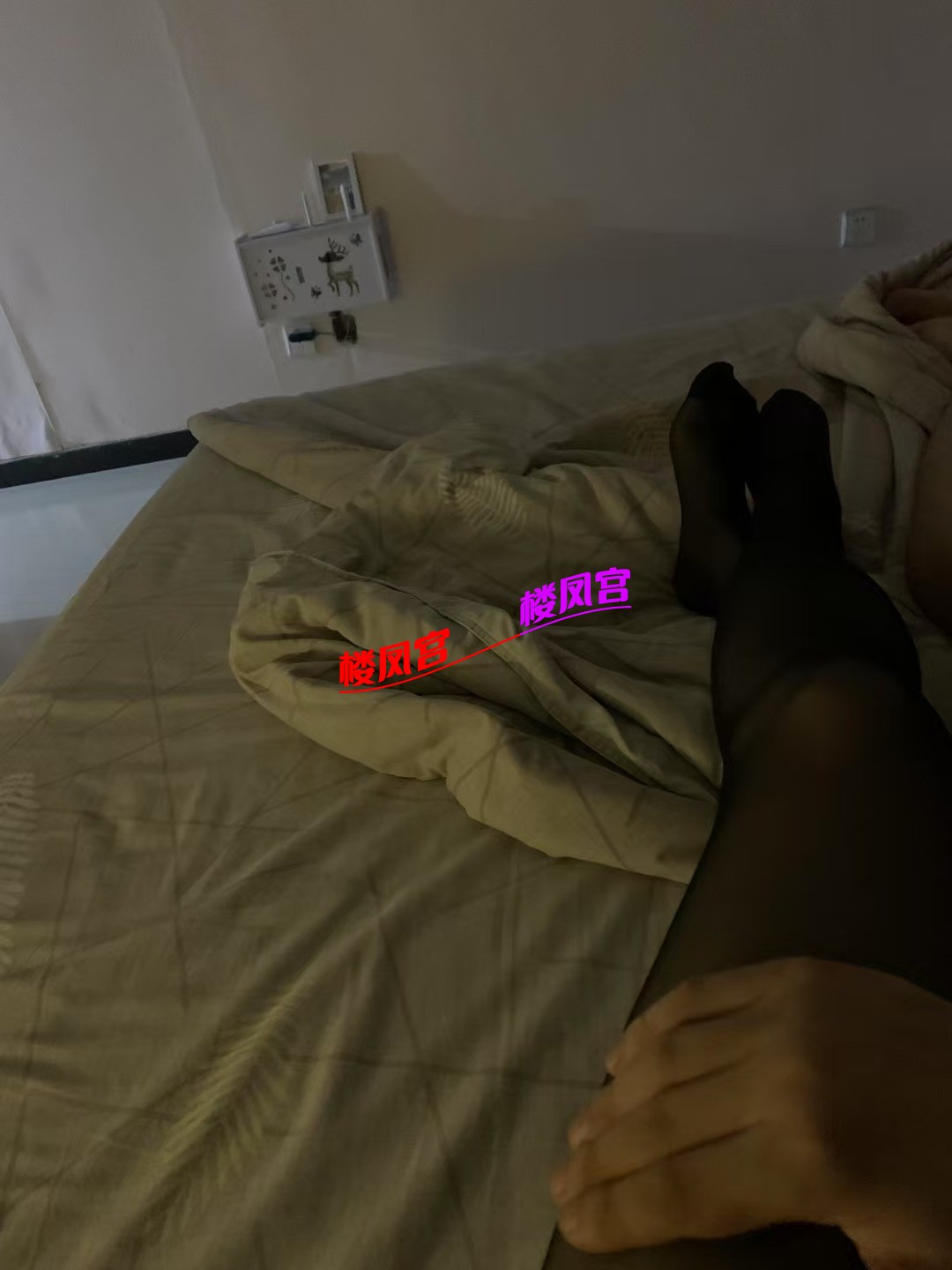 1000250569.jpg