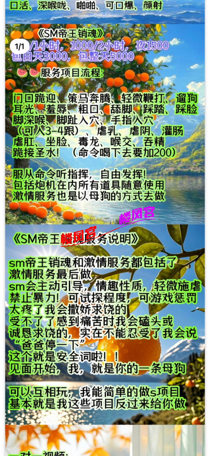 IMG_8739.png