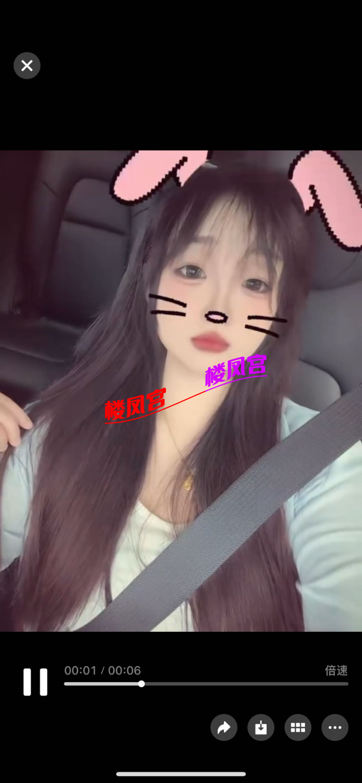 tmp_1779865242362.png
