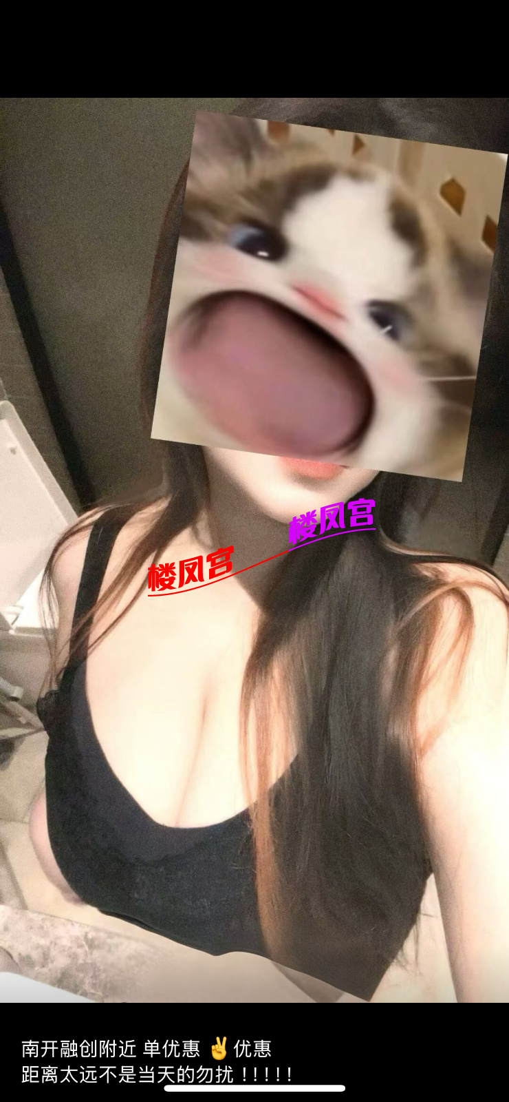 IMG_0954.png
