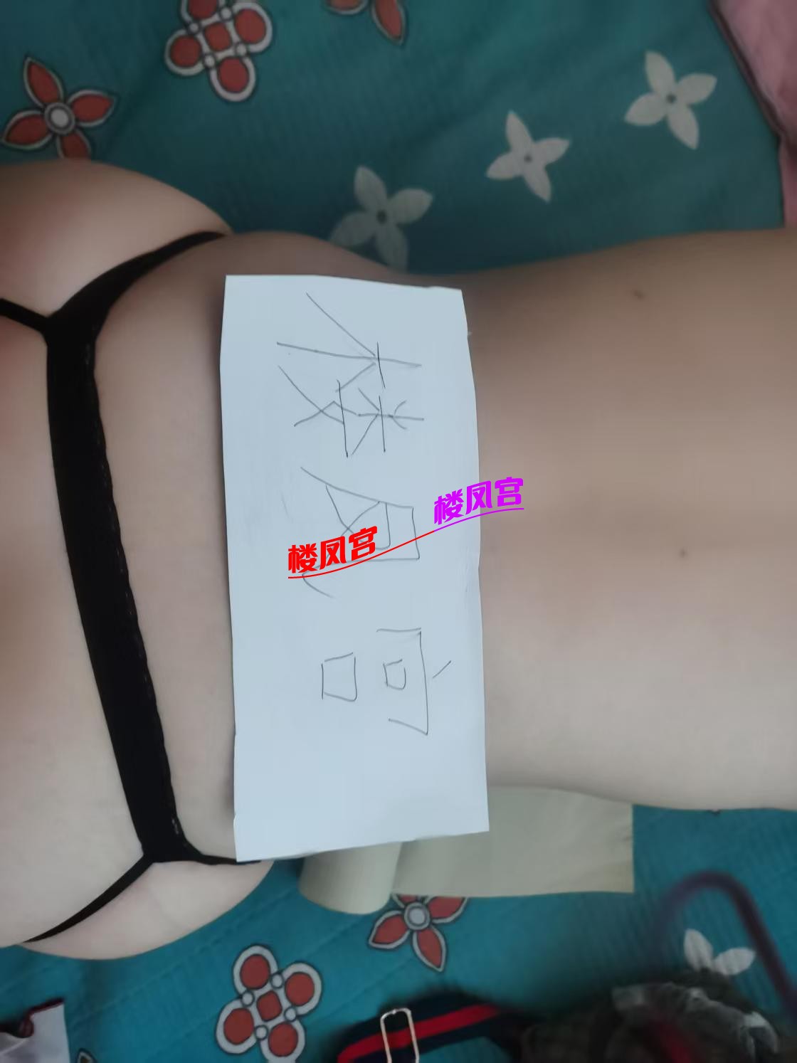 803.JPG
