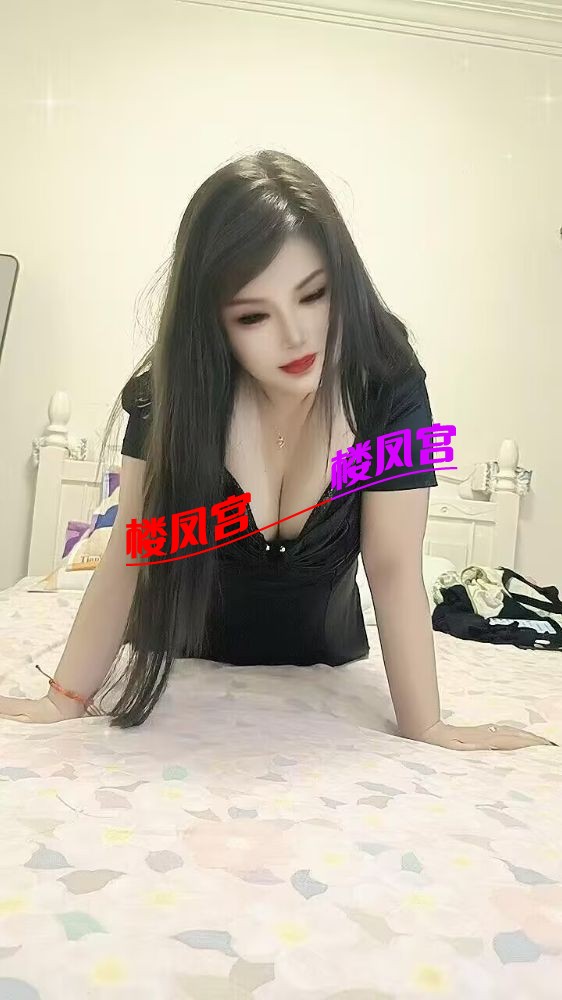 333.jpg