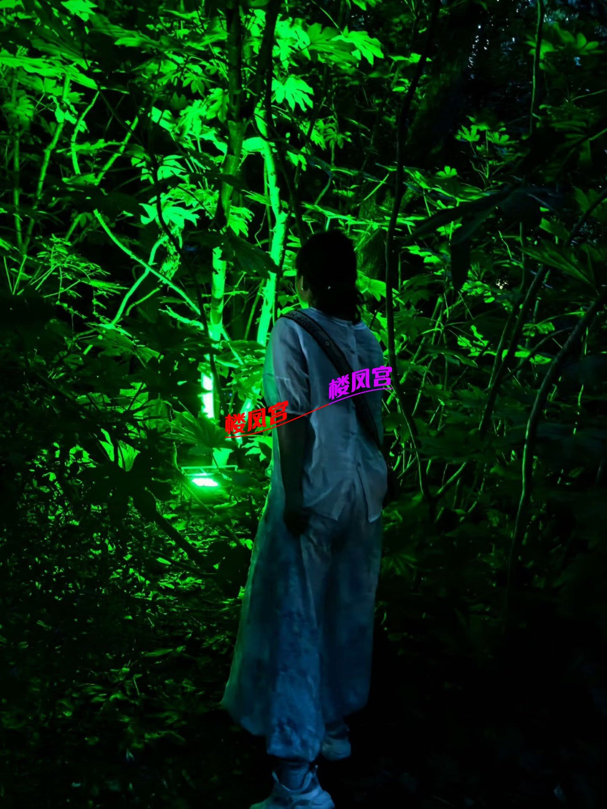 4471.jpg