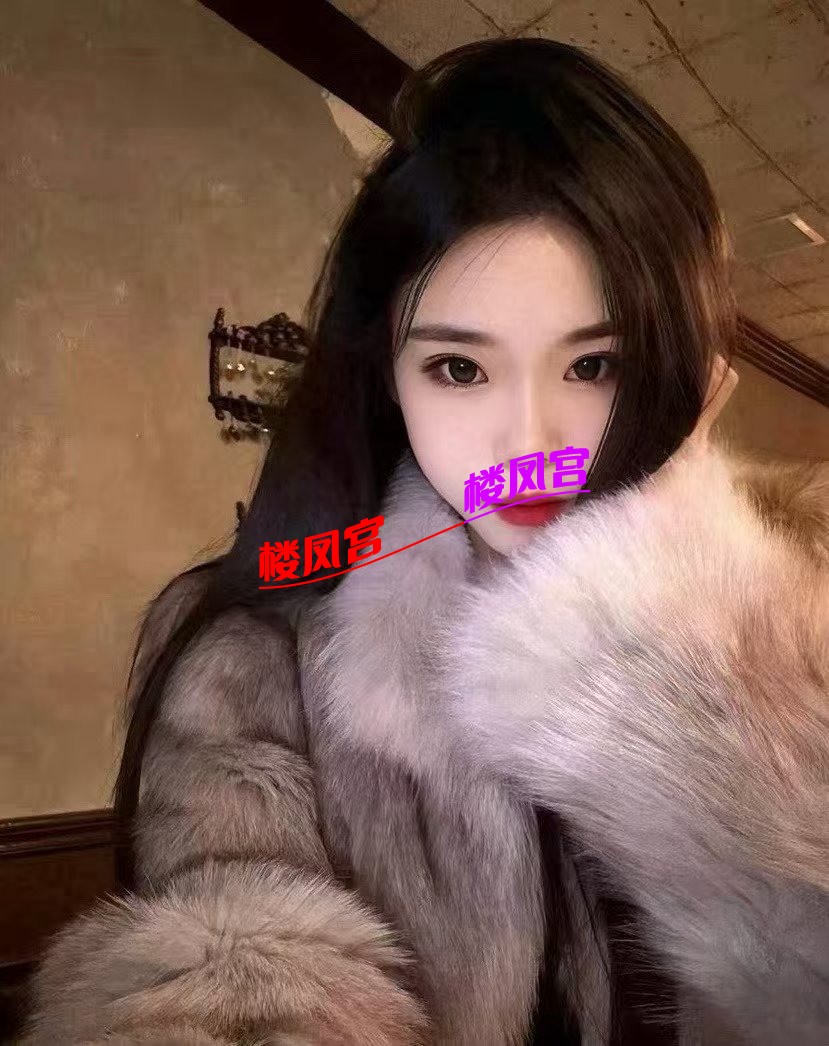 1008047236.jpg