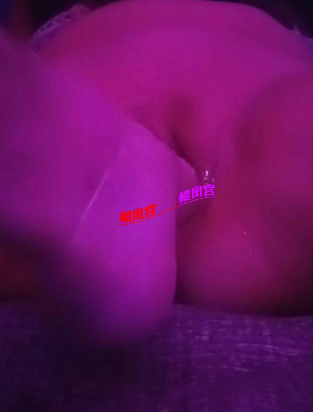1000094040.png