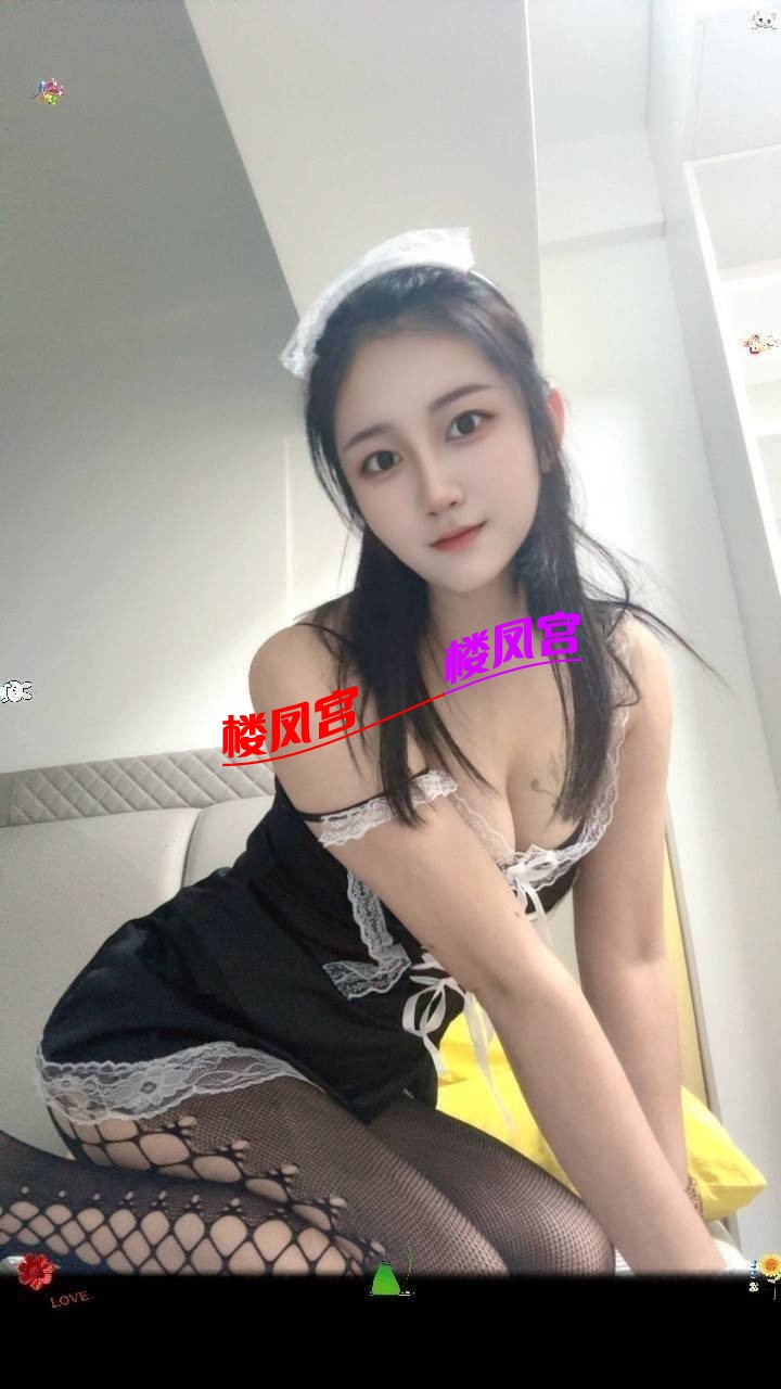 3105.jpg