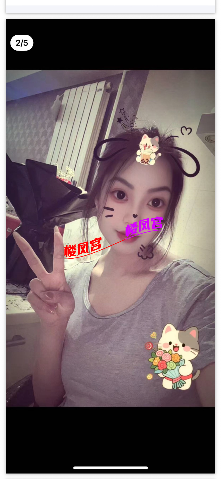 IMG_4247.png