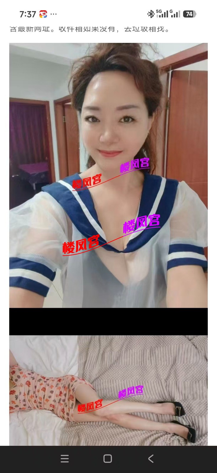 7241.jpg