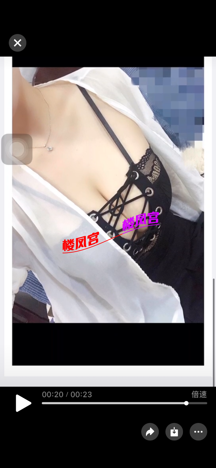 IMG_8939.png