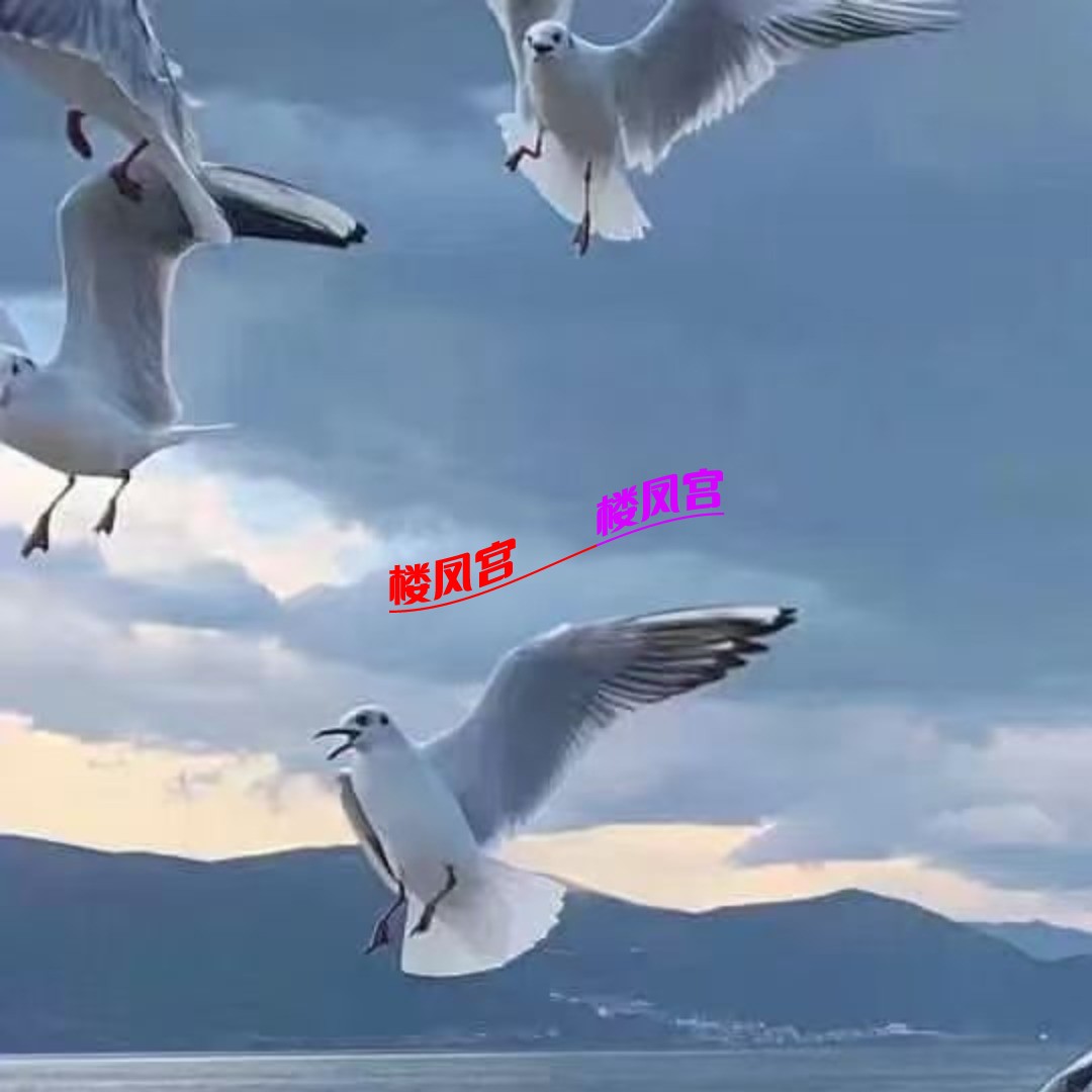 mmexport1758029347929.jpg