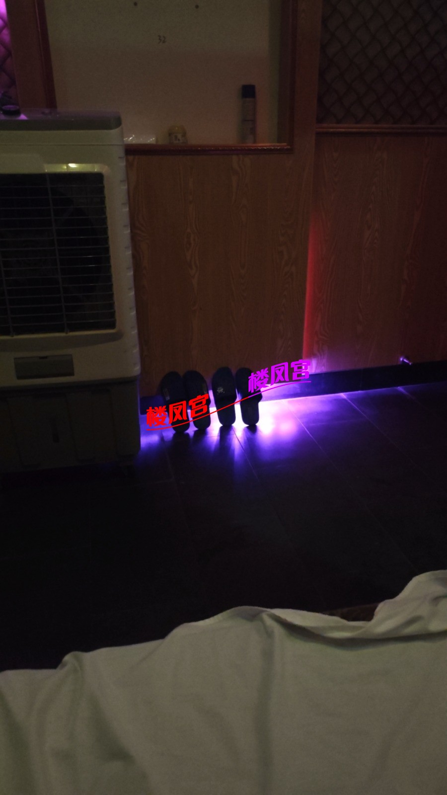wx_camera_1747572256083.jpg