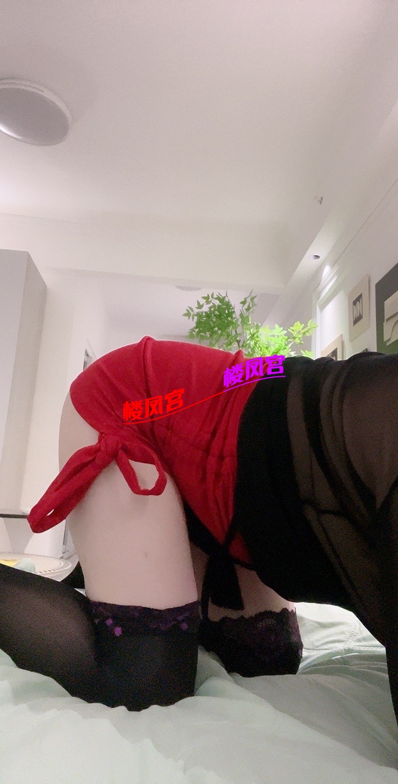 IMG_8099.jpeg