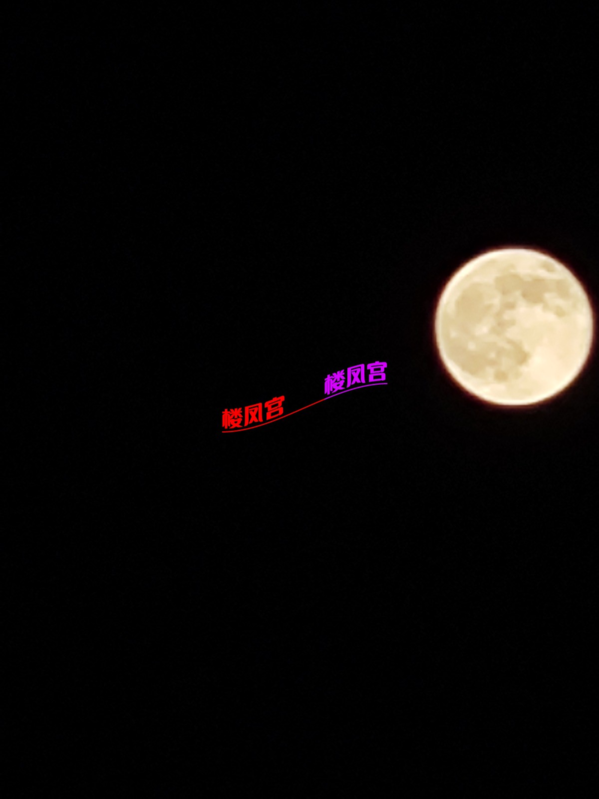 IMG_20251007_200828.jpg