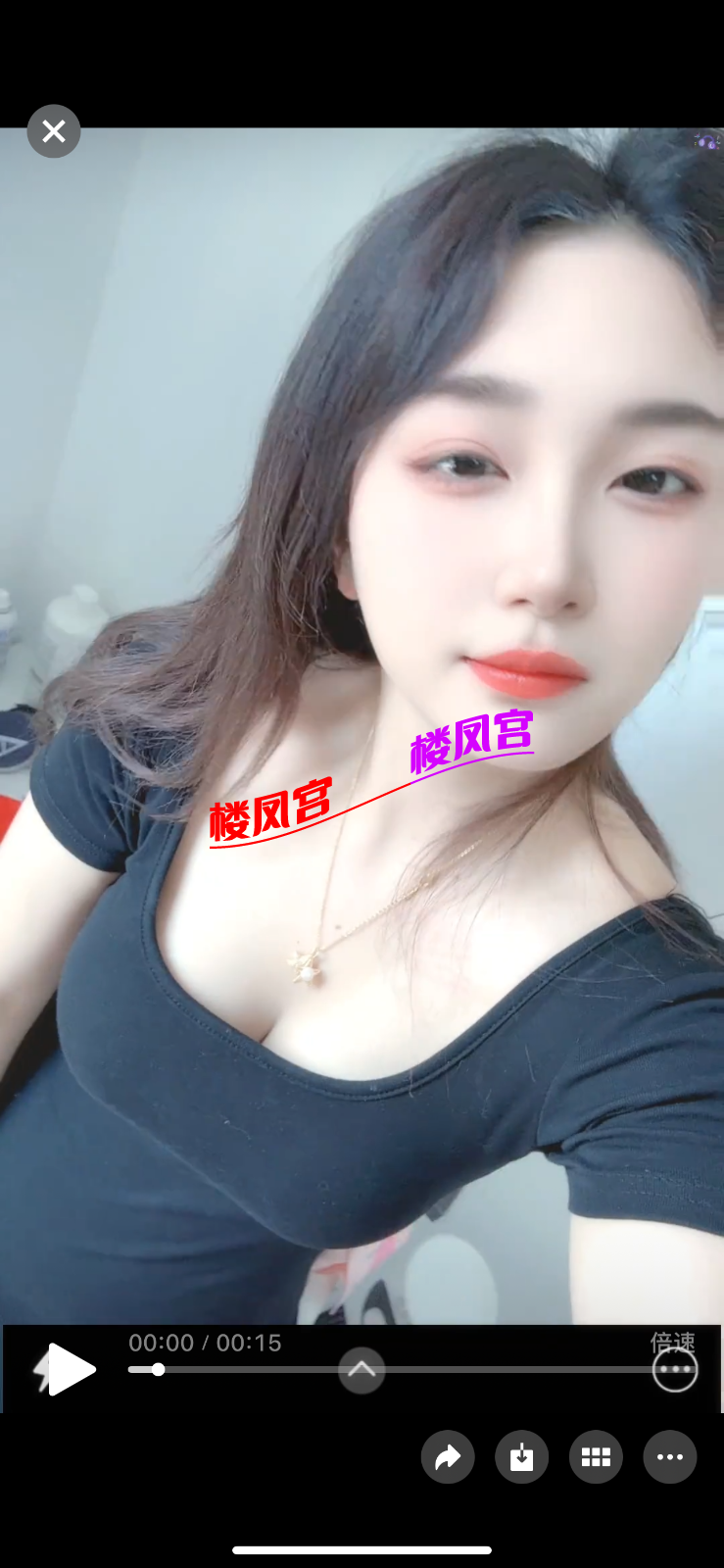 IMG_1919.png