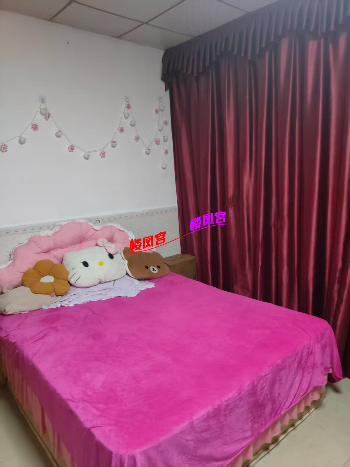 mmexport1774020740550.jpg