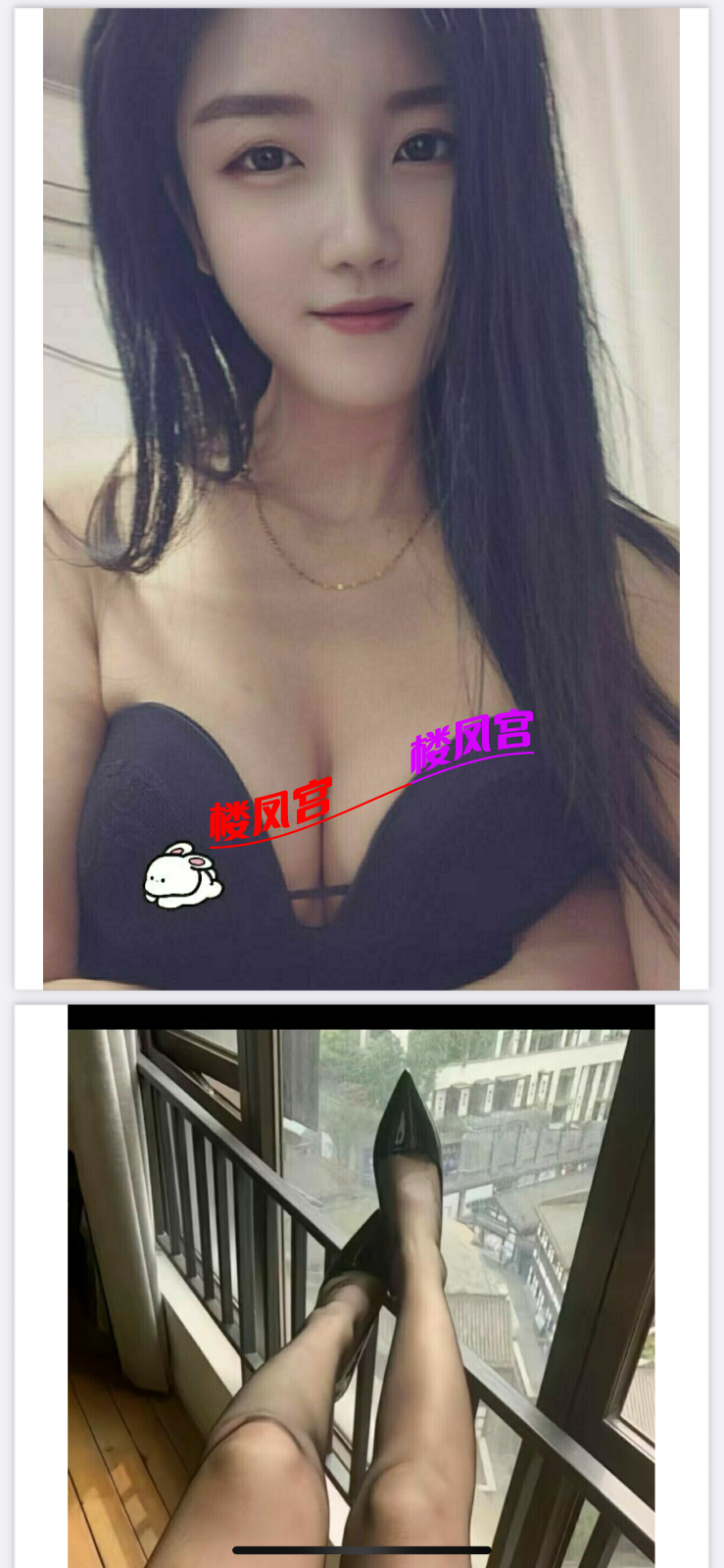 IMG_1429.png