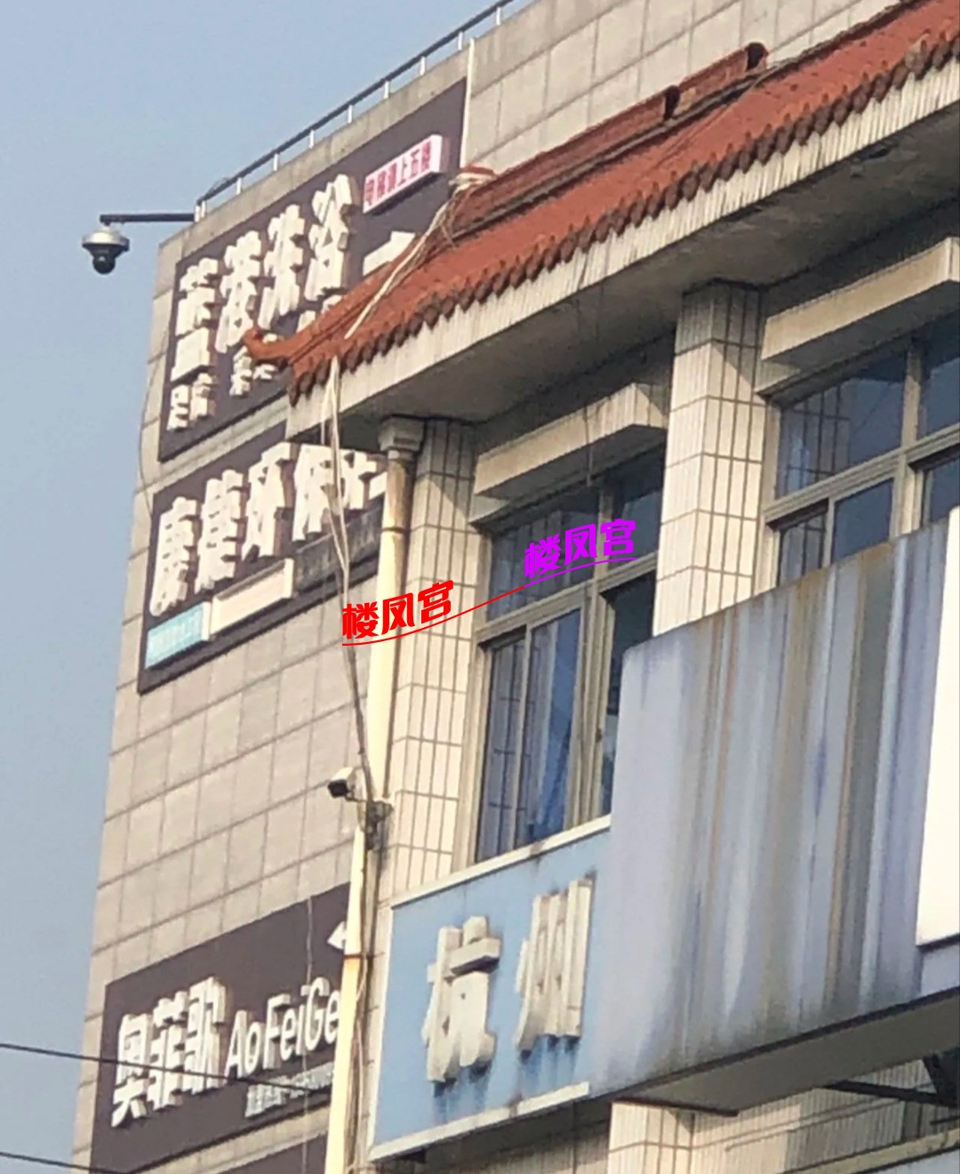 1000022625.jpg