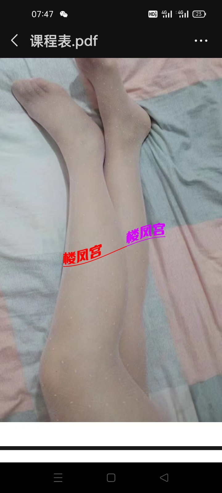 mmexport1783671122028.jpg