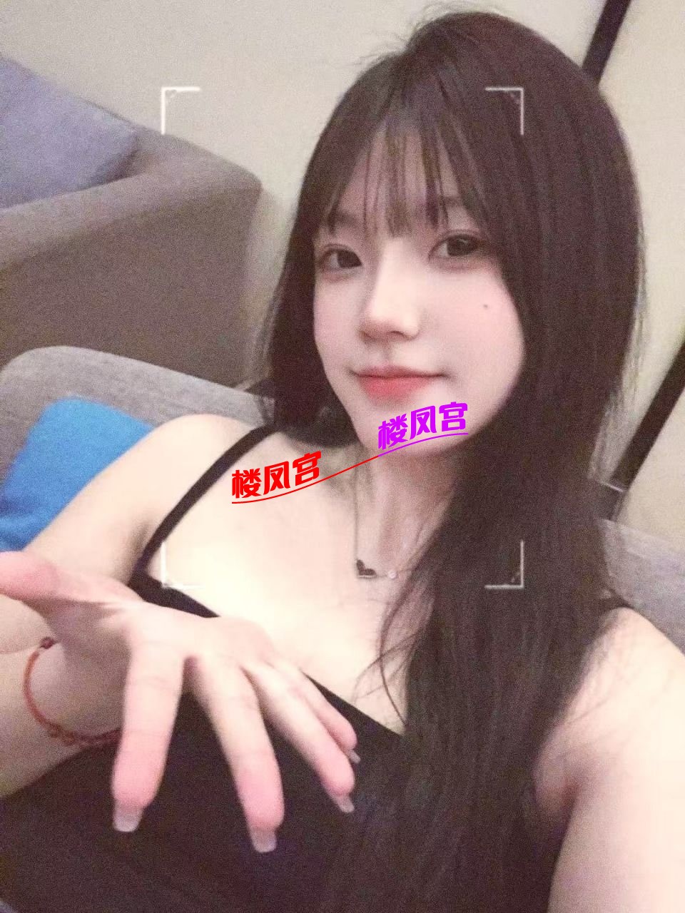 13168.jpg