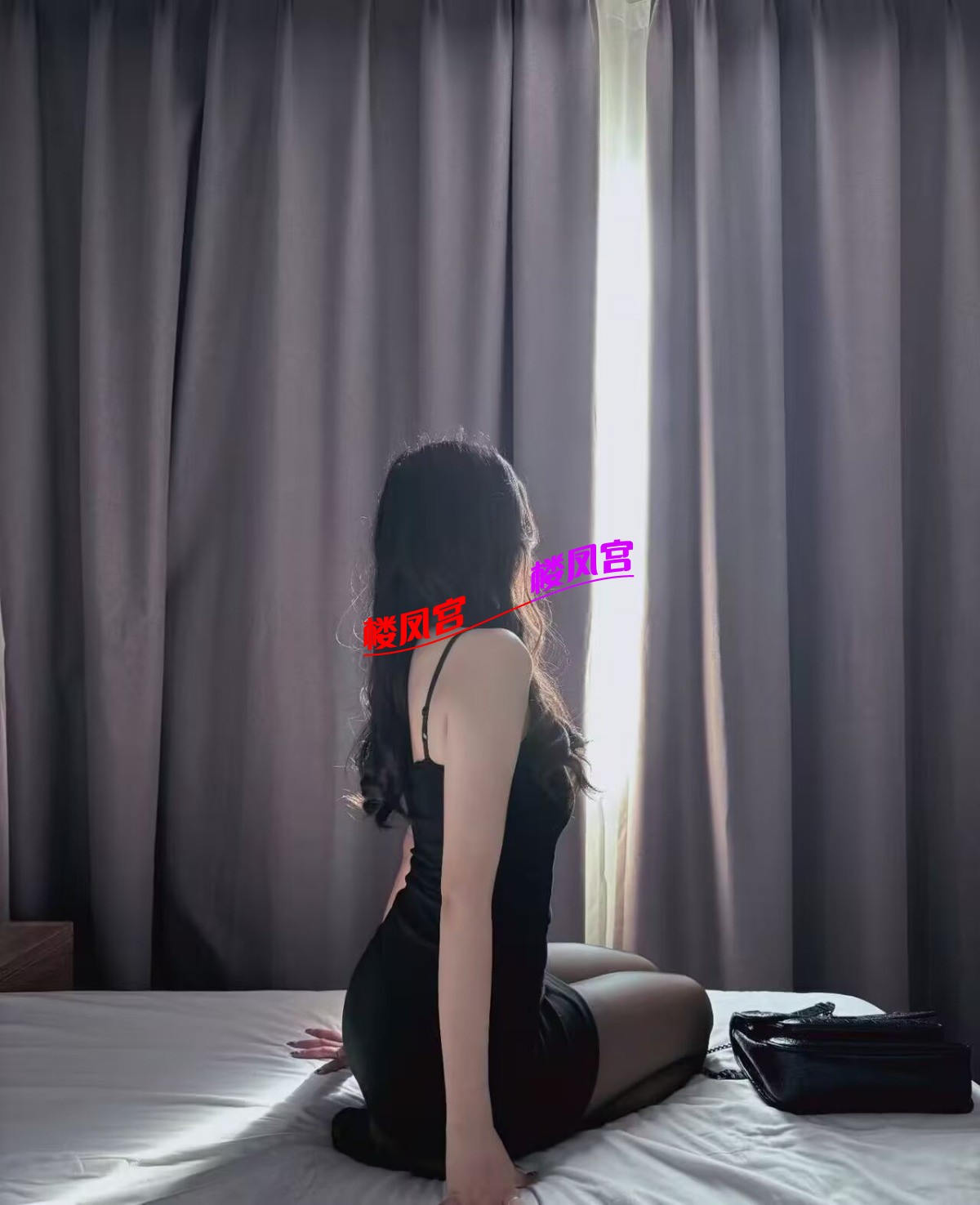 1000022528.jpg