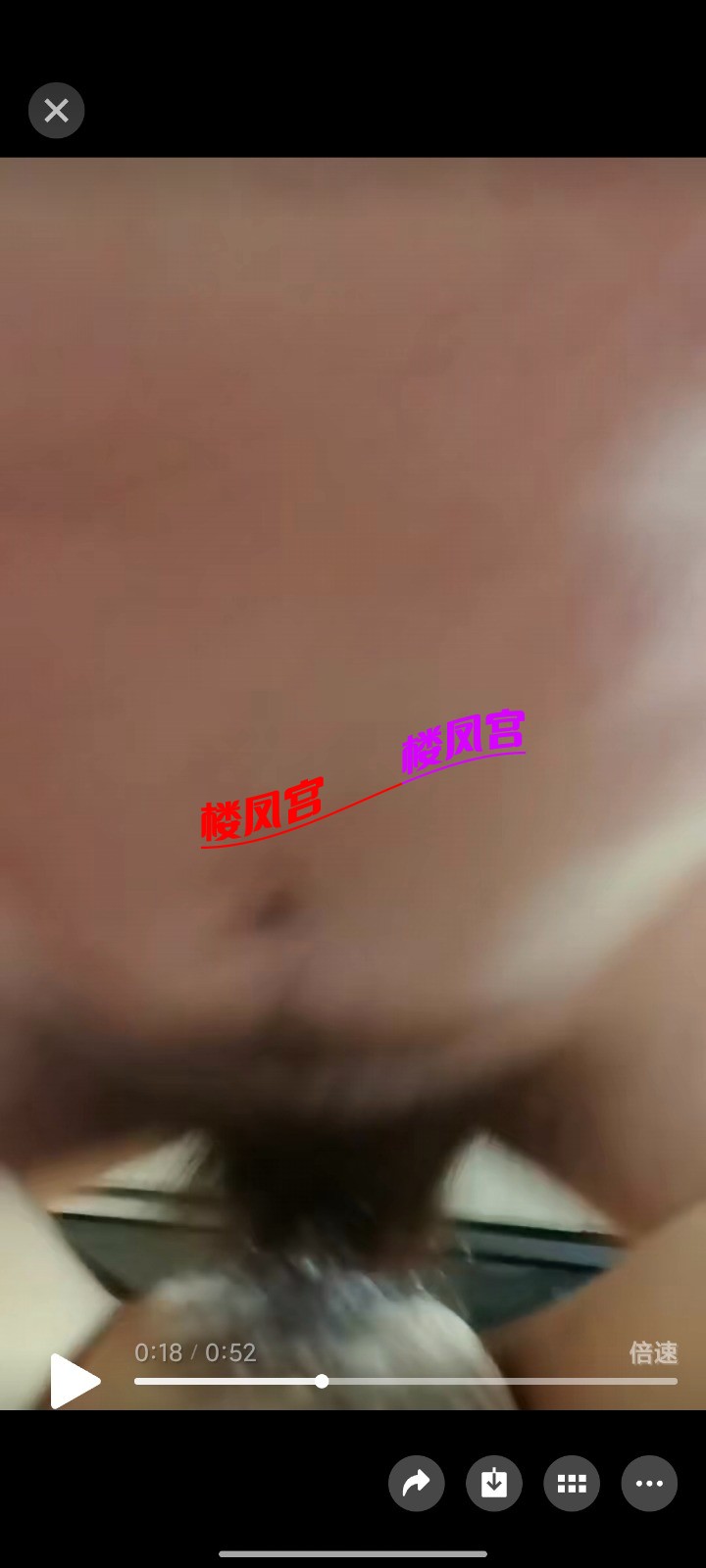 1000041219.jpg
