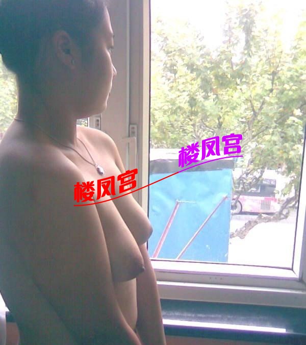 se9dcr.jpg