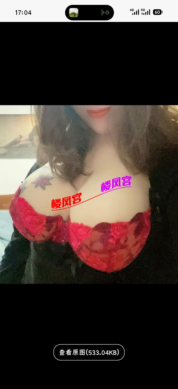 7285.jpg