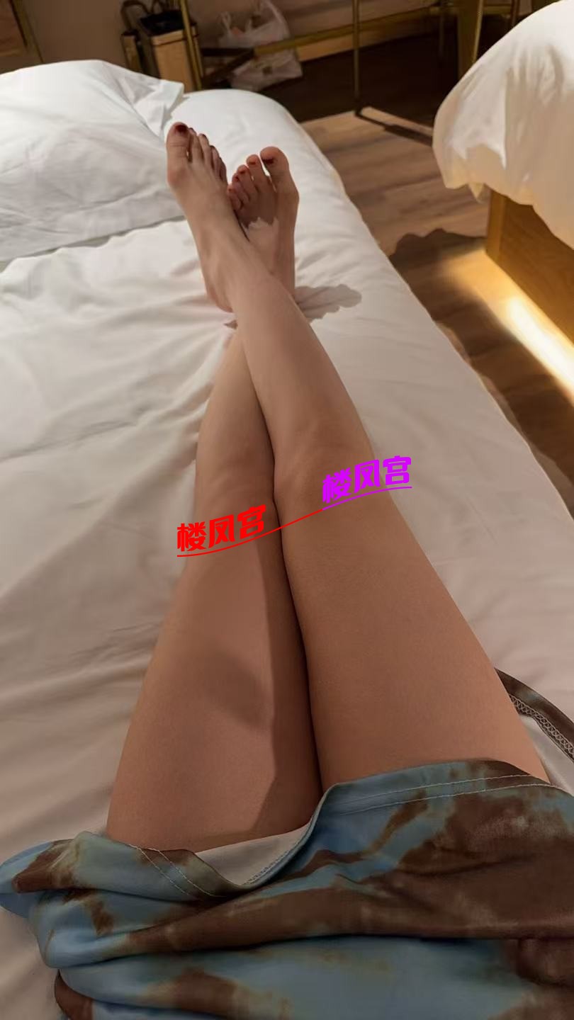 54112.jpg
