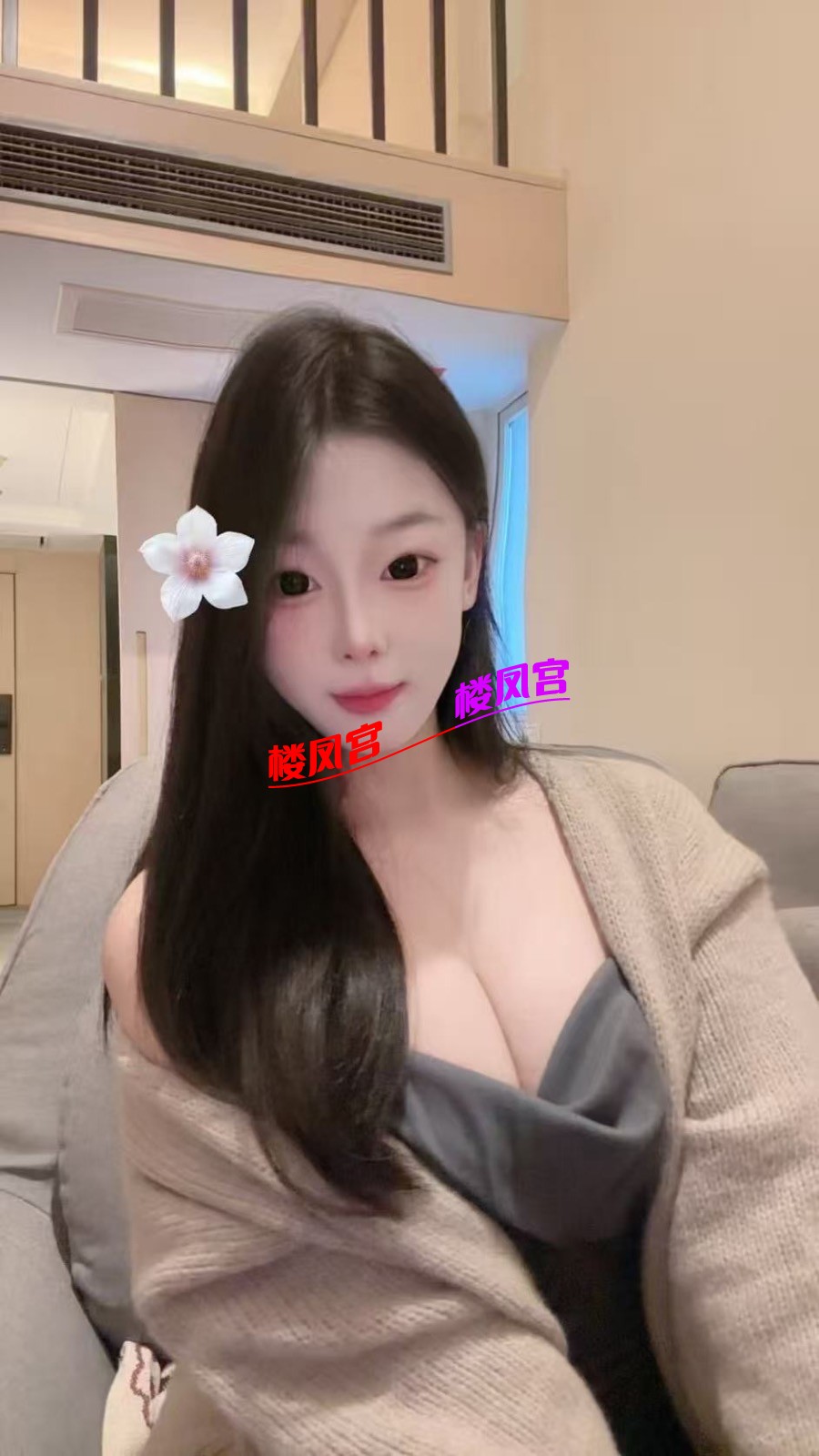 12575.jpeg
