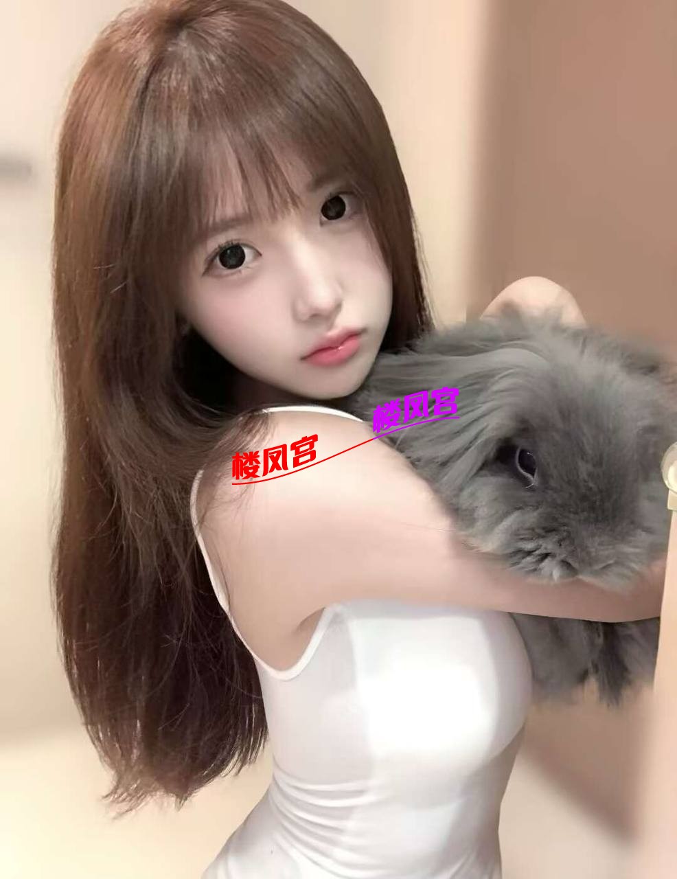 5045.jpg