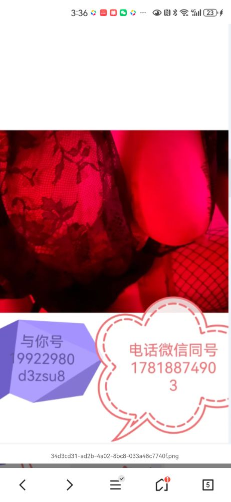 Screenshot_20260826_153616_com.tencent.mtt.jpg