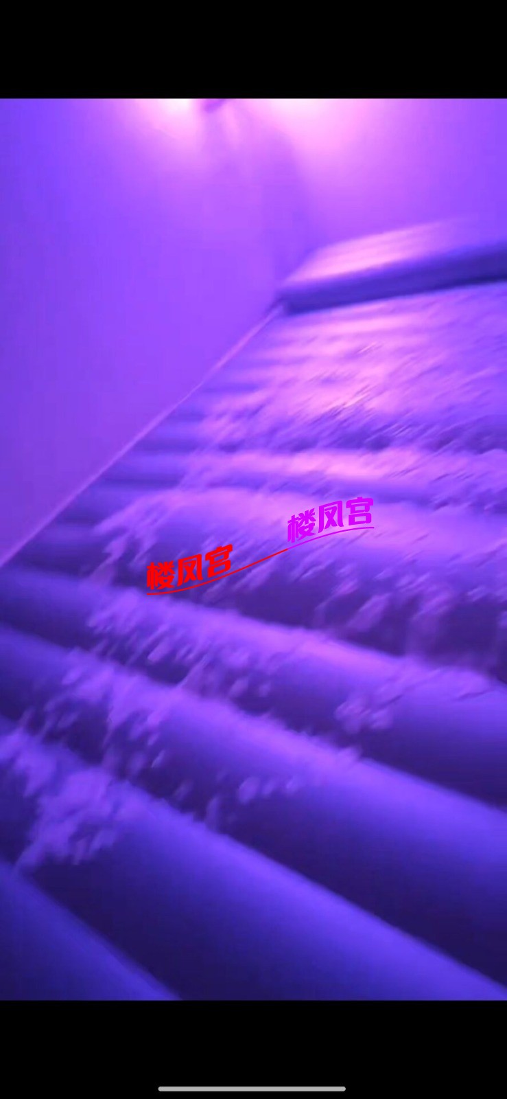 Image_1787909860489_183.jpg